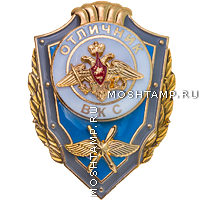 Знак отличия «Отличник Воздушно-космических сил»